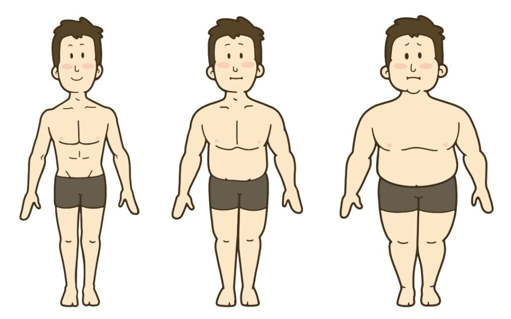 男性の体型の変化　正面　3段階